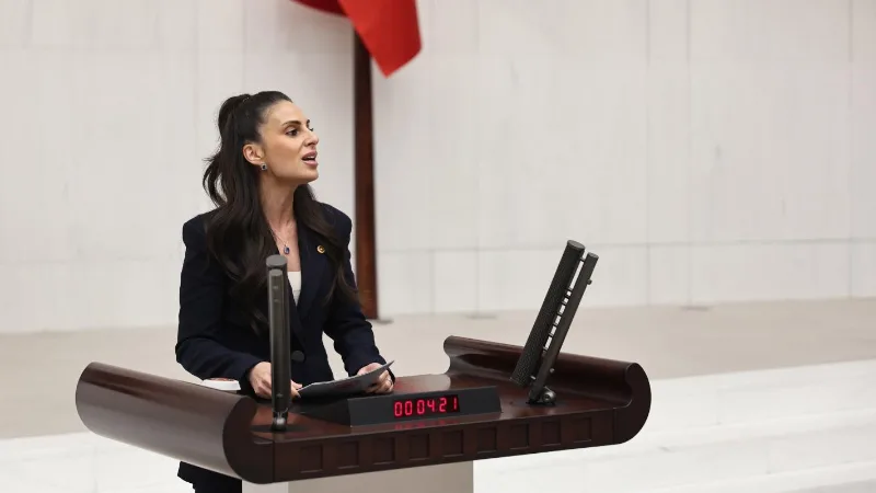 CHP Muğla Milletvekili Gizem Özcan, en düşük emekli aylığının 20