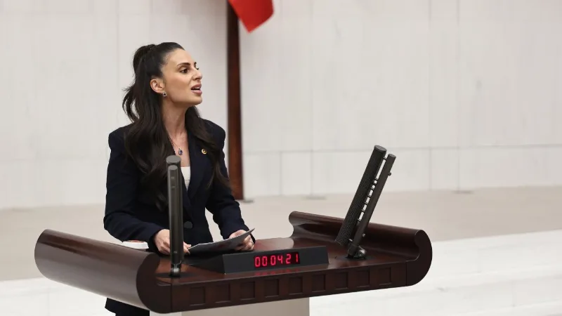 CHP Muğla Milletvekili Gizem Özcan, Selimiye Mahallesi’nde planlanan yat ve