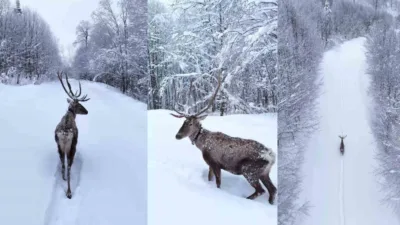 Kartepe’deki Kuzuyayla Tabiat Parkı’nda, Kocaeli Büyükşehir Belediyesi ve Doğa Koruma