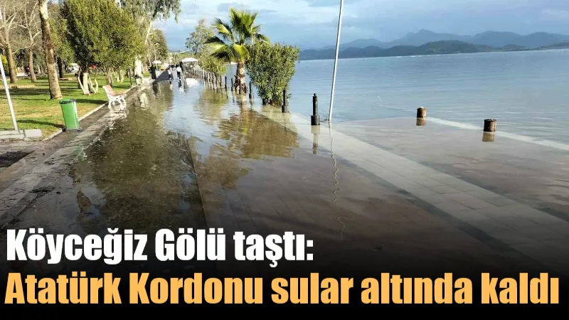 Aralıksız yağışlar Köyceğiz Gölü’nü taşırdı. Delta Mevkii’nde yükselen su seviyesi