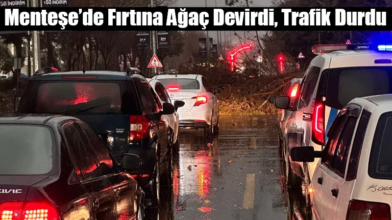 Muğla’nın Menteşe ilçesi Uğur Mumcu Bulvarı’nda fırtına nedeniyle devrilen ağaç