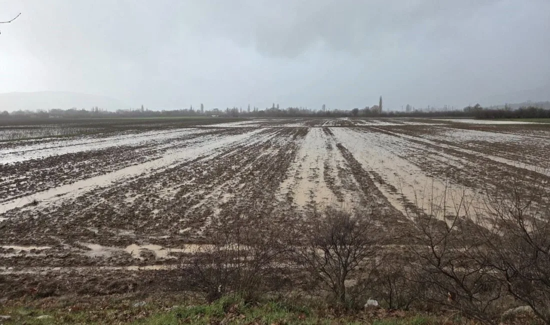 Menteşe İlçe Tarım ve Orman Müdürlüğü ekipleri, kuvvetli yağışların ardından