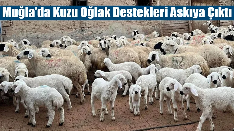 Muğla İl Tarım ve Orman Müdürlüğü, 2025 yılı birinci dönem