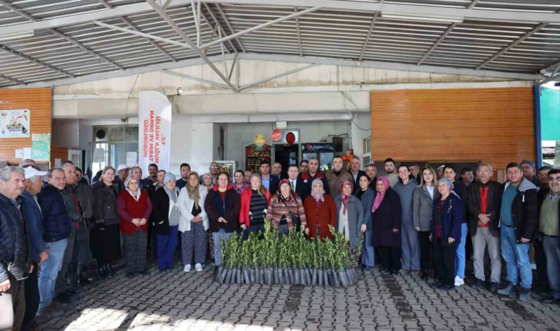 Muğla'nın Ula ilçesinde, Tıbbi ve Aromatik Bitkiler Üretiminin Geliştirilmesi Projesi