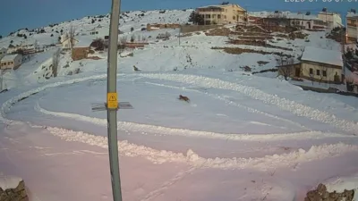 Sivas'ın İmranlı ilçesinde, bir gün önce tavşan avlarken görüntülenen vaşakların