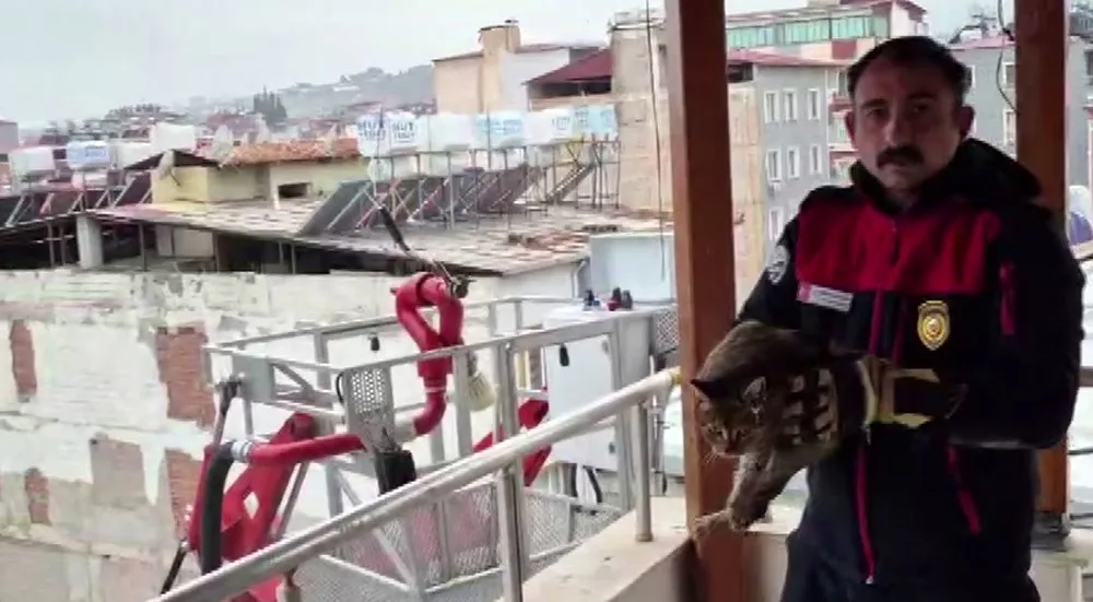 Hatay’ın Kırıkhan ilçesinde 7. katta mahsur kalan bir kedinin itfaiye
