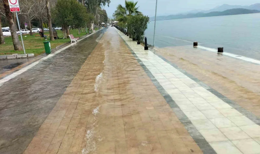 Muğla’nın Köyceğiz ilçesinde günlerdir aralıklarla devam eden ve dün gece