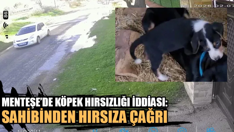 Muğla’nın Menteşe ilçesinde siyah-beyaz av köpeği yavrusunun çalındığını güvenlik kameralarından