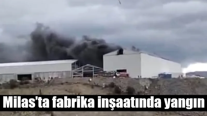 Milas Organize Sanayi Bölgesi’nde bulunan Gümüşdoğa Su Ürünleri’ne ait fabrika