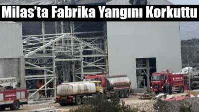 Milas Selimiye yolu üzerindeki Organize Sanayi Bölgesi’nde çıkan fabrika yangını,
