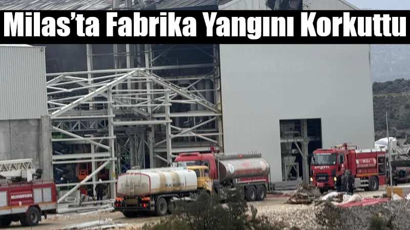 Milas Selimiye yolu üzerindeki Organize Sanayi Bölgesi’nde çıkan fabrika yangını,