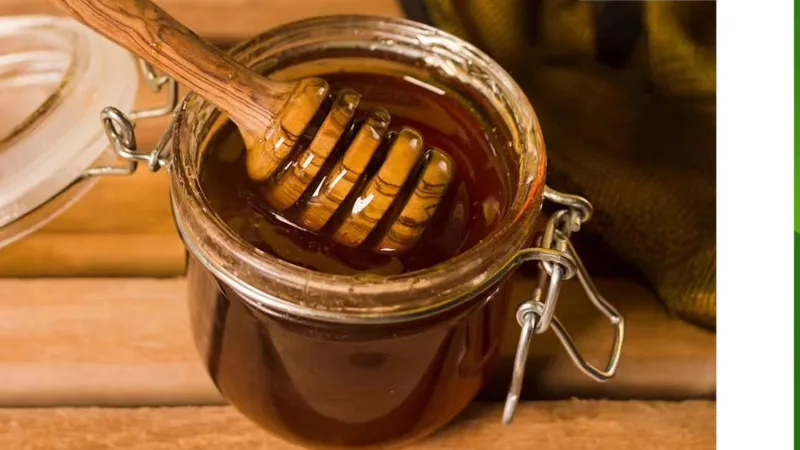 Muğla’nın dünyaca bilinen ürünü Muğla Çam Balı, Avrupa Birliği Coğrafi