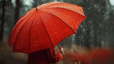 Muğla genelinde etkili olan yağışlar sonrası ilçelere göre yağış miktarları