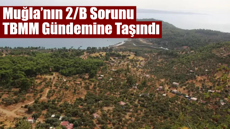 İYİ Parti Muğla Milletvekili Prof. Dr. Metin Ergun, 2/B arazilerinin