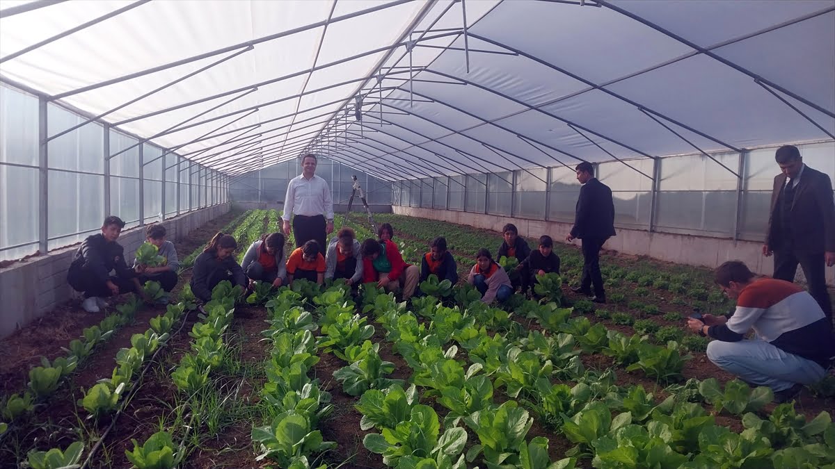 Muğla'da meslek liselerinde akıllı tarım projeleri uygulanıyor