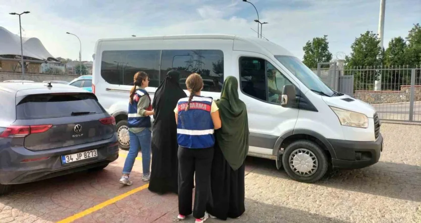 İzmir merkezli 12 ilde jandarma ekiplerince gerçekleştirilen operasyonda, terör örgütlerine