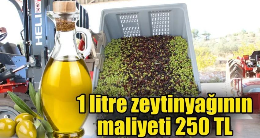 Menteşe ilçesi Yerkesik Mahallesinde faaliyet gösteren Bişen Zeytinyağı Fabrikasının dördüncü