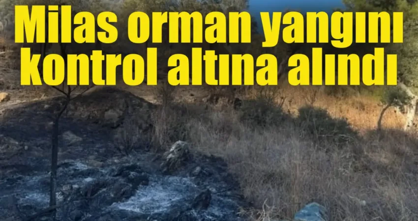 Muğla’nın Milas ilçesinde çıkan orman yangını ekiplerin yoğun müdahalesi ile