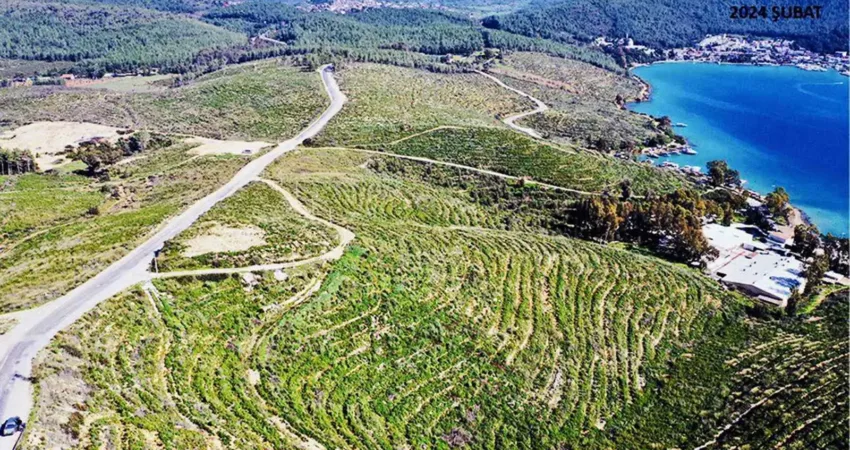 Muğla tarihinin en büyük orman yangınının yaşandığı 2021 yılında, Bodrum’da