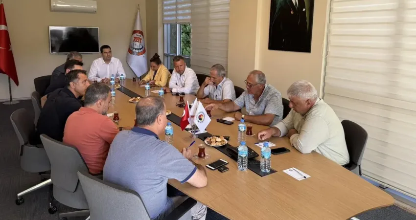 Muğla’nın Ortaca ilçesi ve çevresinde yetişen narenciye ürünlerinin değerlendirilmesi ve