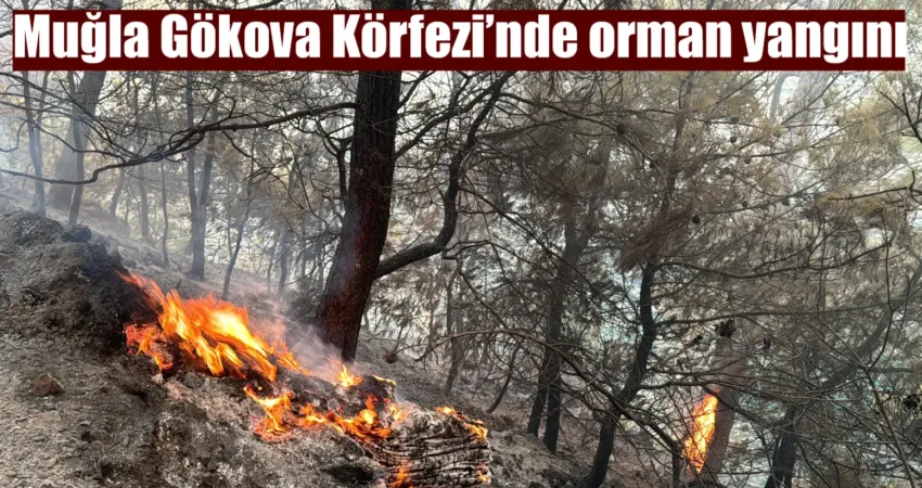 Muğla Gökova Körfezi’nde makilik ve ormanlık alanda çıkan yangını söndürme