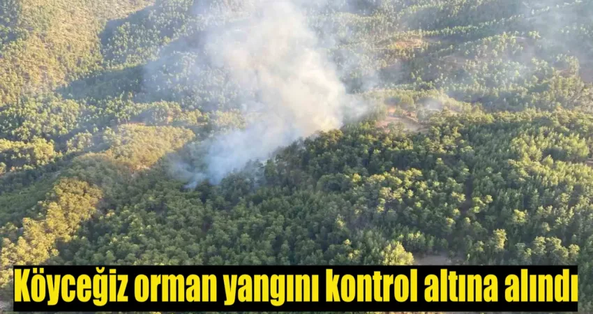 Muğla’nın Köyceğiz ilçesine bağlı Otmanlar Mahallesi’nde çıkan orman yangını ekiplerin