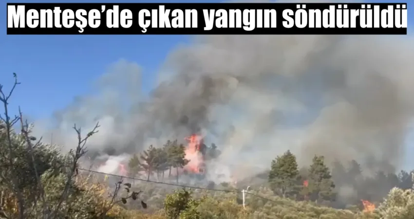 Muğla’nın Kafaca bölgesinde bugün öğleden sonra ziraat alanında bulunan bir