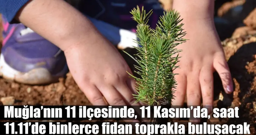 ‘11 Kasım Milli Ağaçlandırma Günü’nde Muğla genelinde 21 lokasyonda binlerce