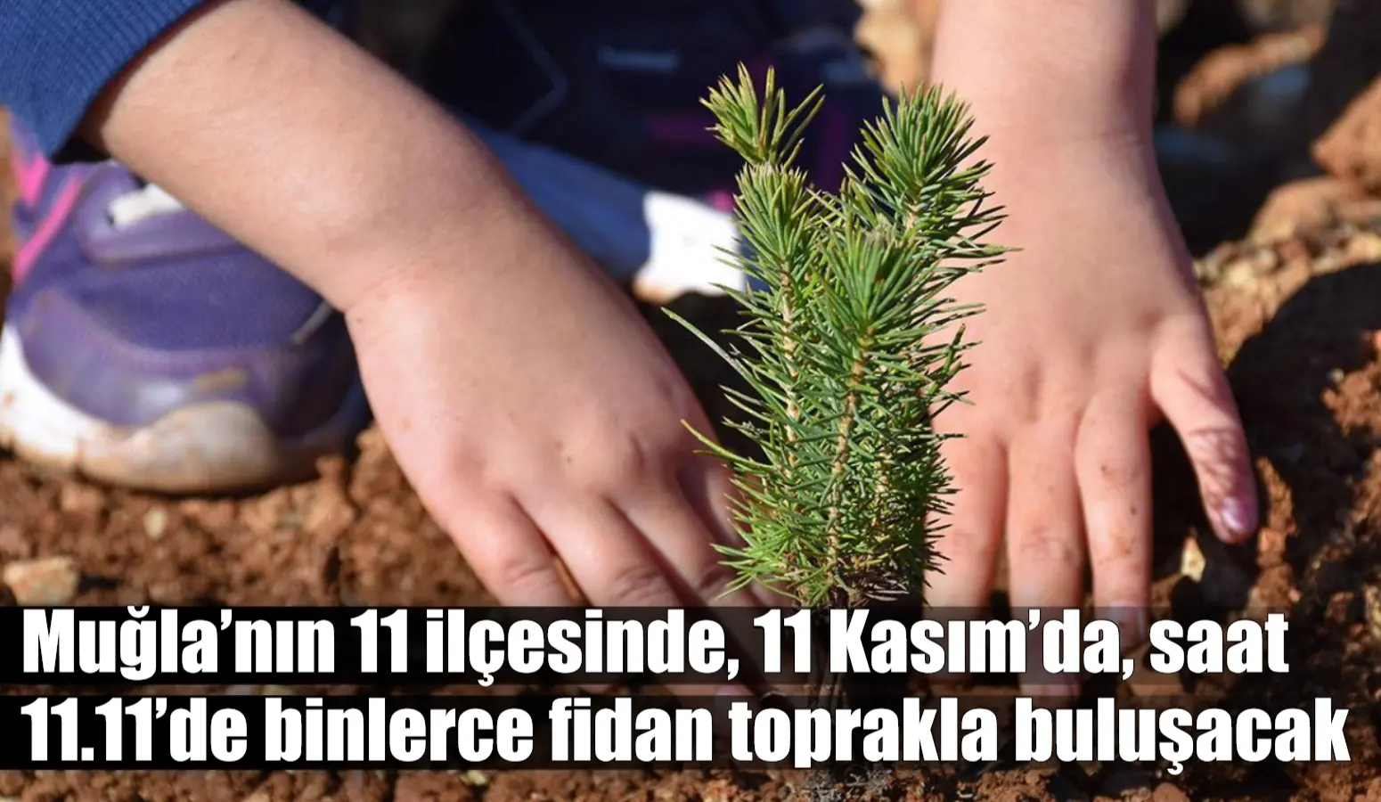 ‘11 Kasım Milli Ağaçlandırma Günü’nde Muğla genelinde 21 lokasyonda binlerce
