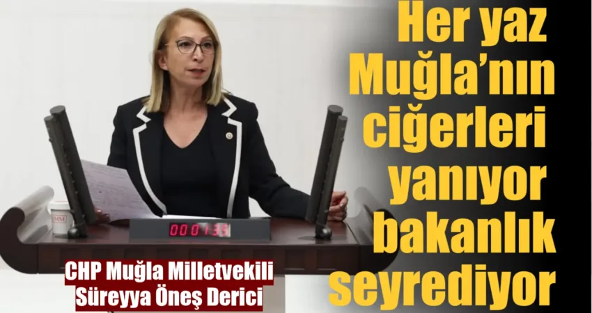 Muğla Milletvekili Süreyya Öneş Derici, TBMM Plan ve Bütçe Komisyonu’nda