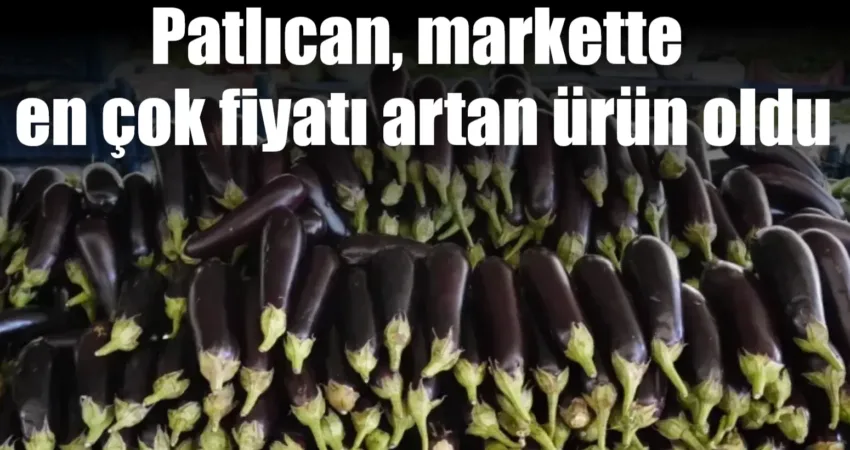 Türkiye Ziraat Odaları Birliği (TZOB) Genel Başkanı Şemsi Bayraktar, kasımda