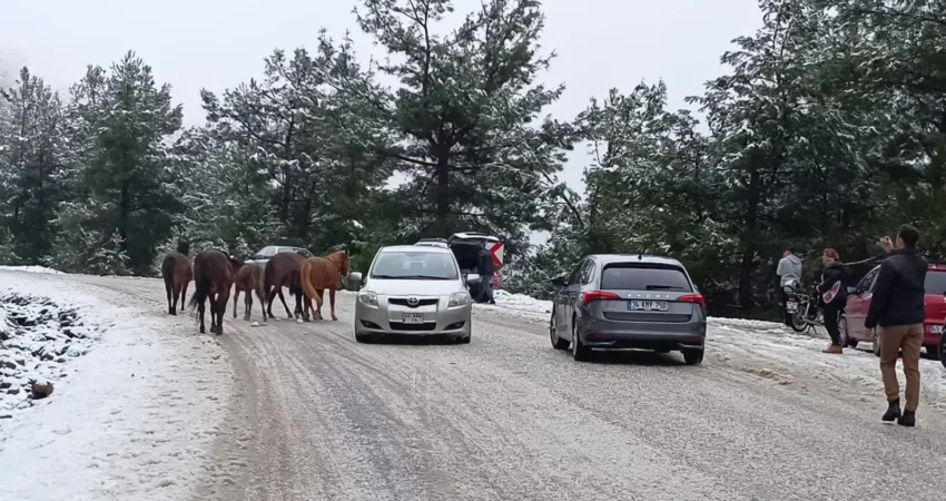 Manisa’nın eteklerine kurulan, Manisa ve İzmir’i birbirinden ayıran Spil Dağı