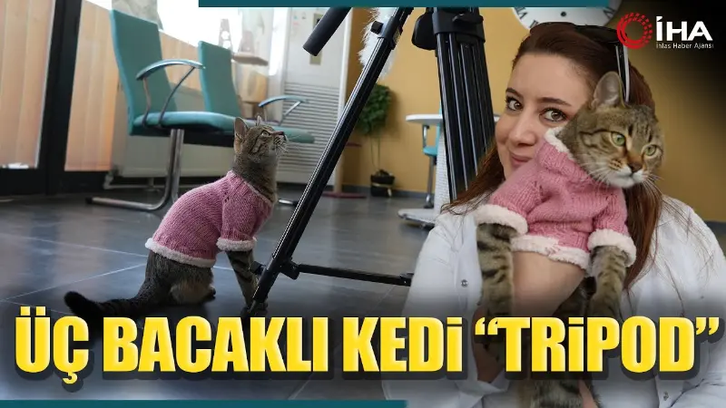 Ankara’nın Yenimahalle ilçesinde bir aracın motoruna sıkışınca bacağı ampute edilen