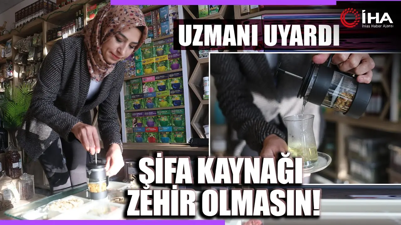 Kış aylarının vazgeçilmez doğal şifa kaynağı olan ıhlamur, birçok hastalığa