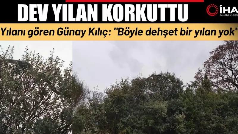 Çanakkale'nin Bayramiç ilçesinde tarlasına gübre attıktan sonra ilçeye dönüş yapan