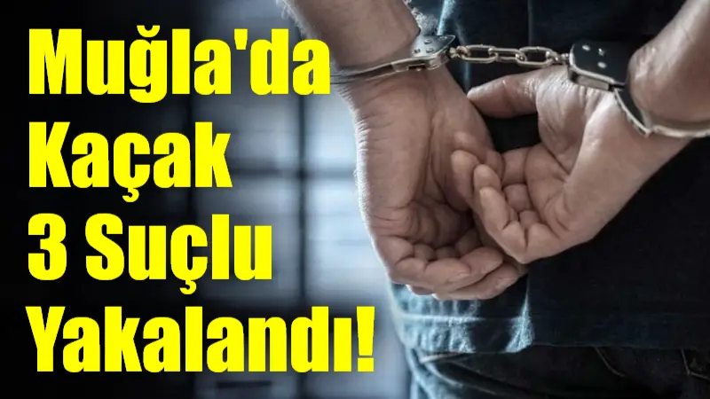 Muğla İl Jandarma Komutanlığı'nın gerçekleştirdiği operasyonlarda, hakkında hırsızlık ve kasten