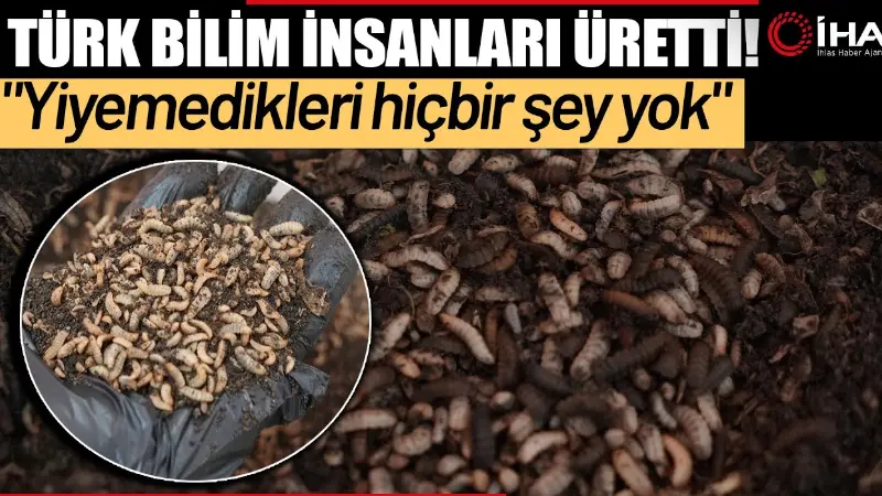 Ondokuz Mayıs Üniversitesi(OMÜ) Fen Fakültesi Biyoloji Bölümü Öğretim Üyesi Doç.