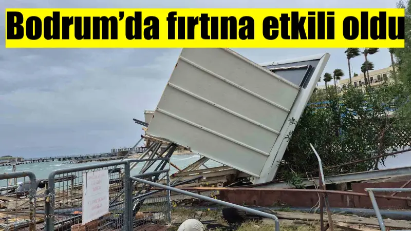 Muğla’nın Bodrum ilçesinde etkili olan fırtınada devrilen ağaç, binanın cephesine