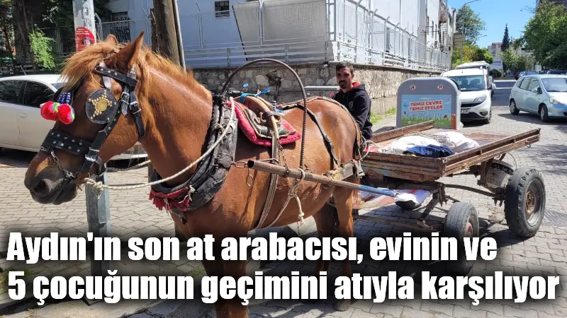 Aydın'da yarım asır öncesinin önemli hafif nakliye aracı olan at
