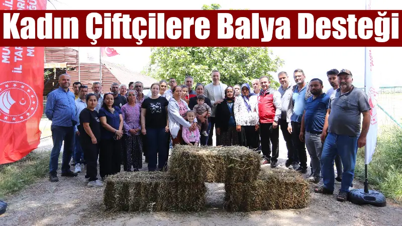 Muğla İl Tarım ve Orman Müdürlüğü tarafından yürütülen koyunculuk projeleri