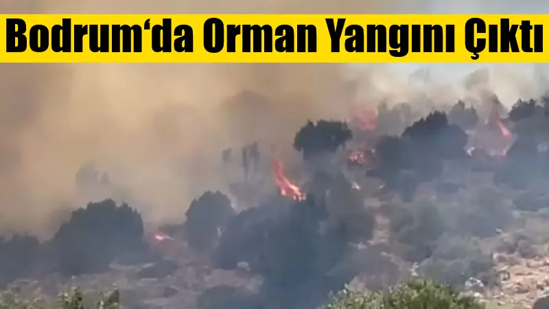 Bodrum Türkbükü Gölköy mevkiinde orman yangını çıktı. Rüzgarın etkisiyle büyüyen