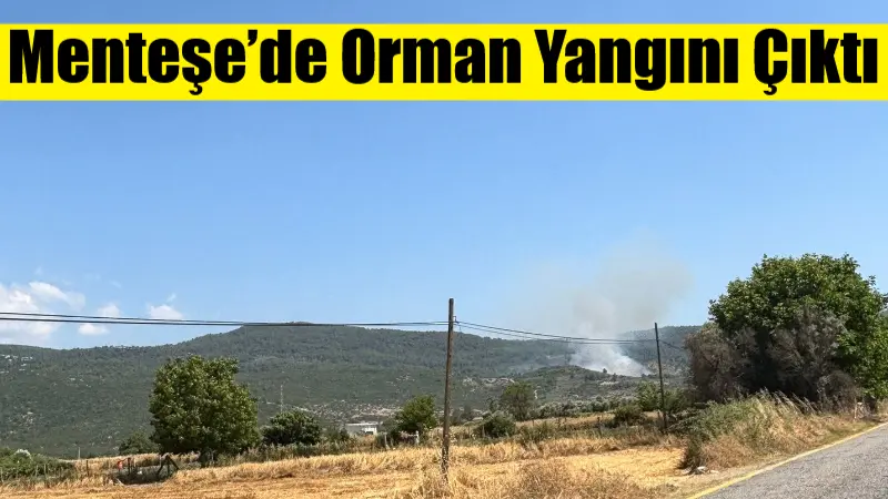 Muğla’nın Menteşe ilçesine bağlı Yeşilyurt Mahallesi’ndeki ormanlık alanda yangın çıktı.
