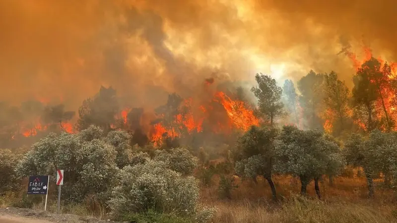 Bilecik, Karabük, Sakarya, Eskişehir ve İzmir’de çıkan orman yangınlarını söndürme