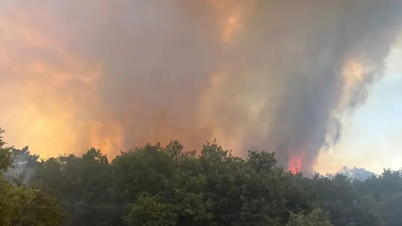 Antalya'da sabah saatlerinde iki ayrı noktada çıkan orman yangınları, ekipleri