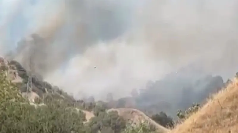 Aydın’ın Efeler ilçesinde zirai alanda meydana gelen yangını kontrol altına