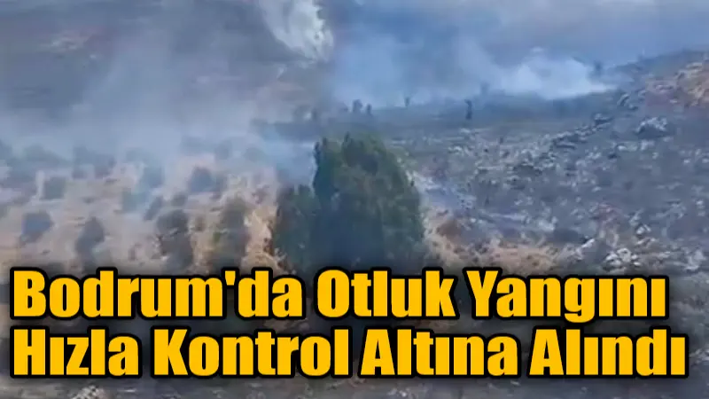 Muğla'nın Bodrum ilçesi Peksimet Mahallesi'nde çıkan otluk yangını, vatandaşların ihbarı