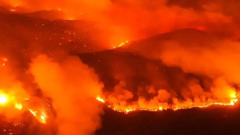 Bursa'nın Kestel, Gürsu, Orhaneli ve Harmancık ilçelerindeki orman yangınları, günlerce