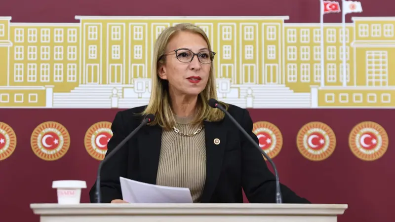 CHP Muğla Milletvekili Süreyya Öneş Derici, Türkiye genelinde son dönemde