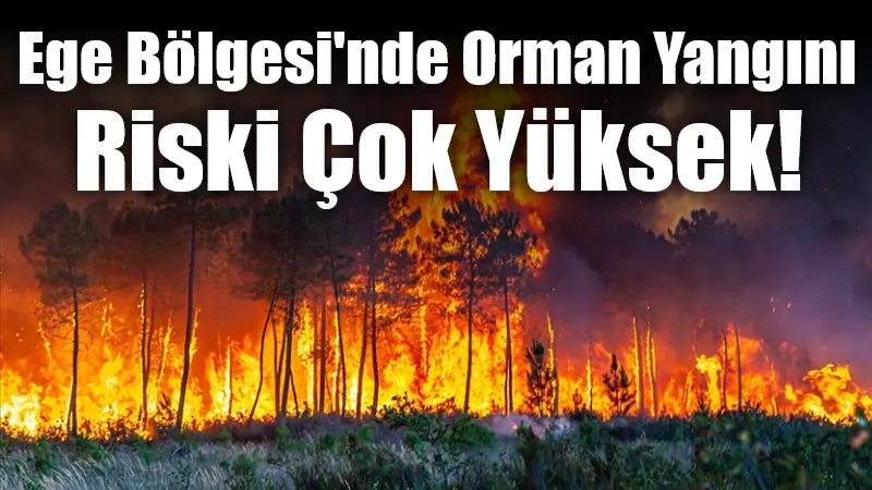 Muğla'da orman yangını riski, 19 Temmuz Cumartesi gününden itibaren artacak
