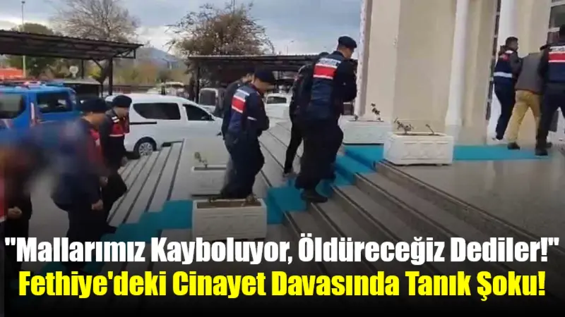Fethiye'de 20 yıl önce işlenen Erdoğan Bozkurt cinayeti davasında, tutuklu